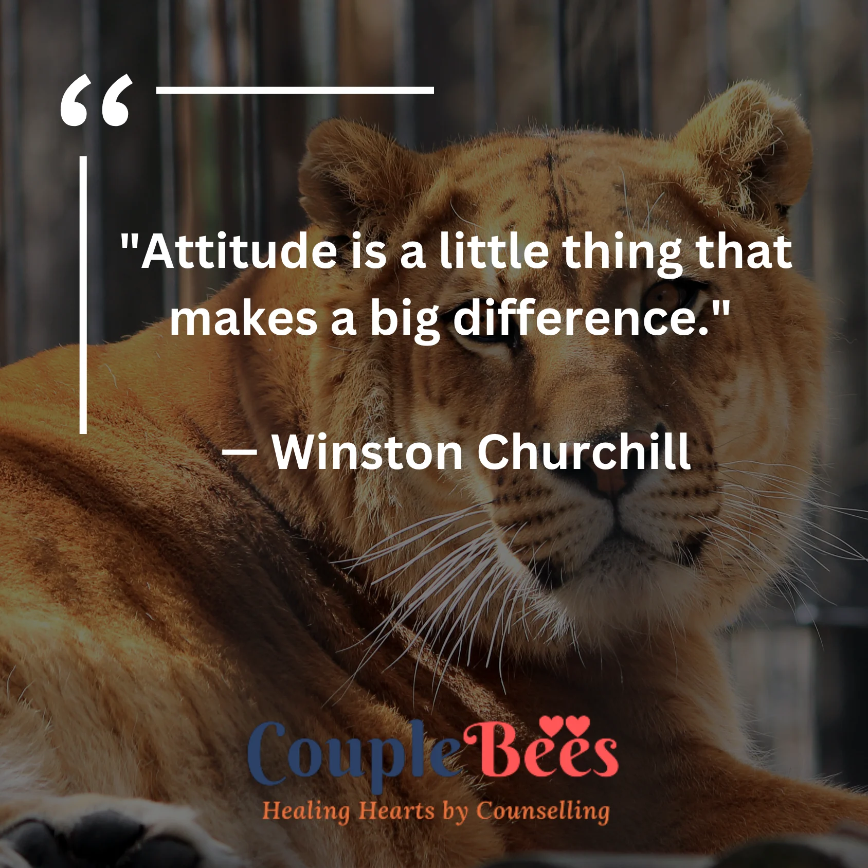 Attitude Quotes | HopeQure