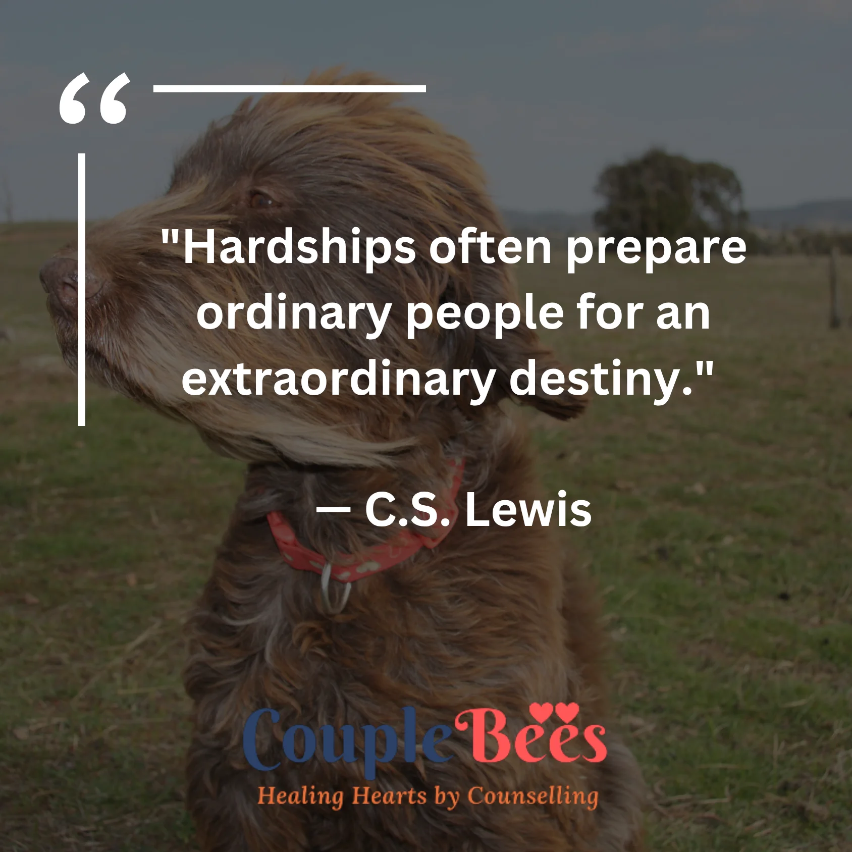 Attitude Quotes | HopeQure
