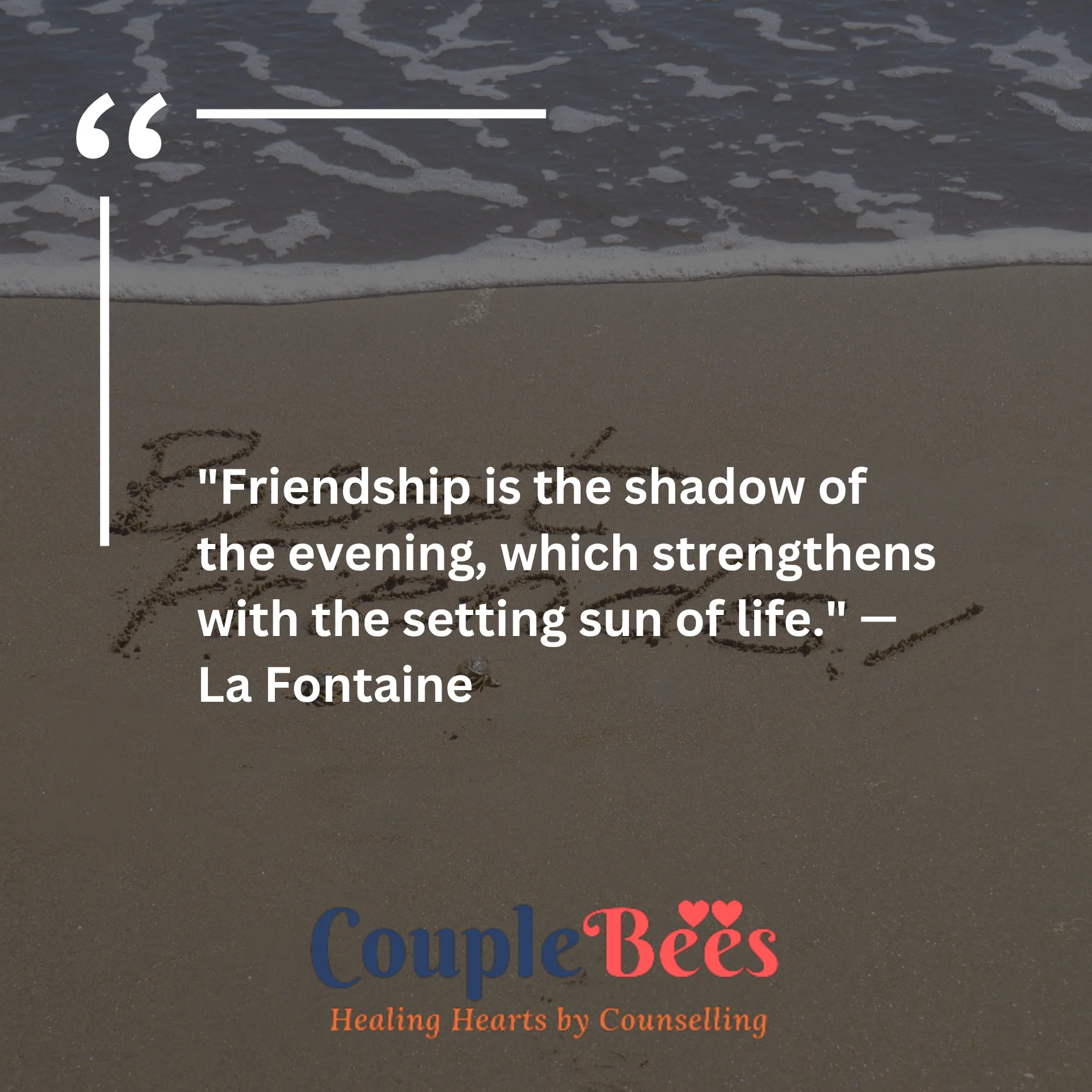 Best Friend Quotes | HopeQure