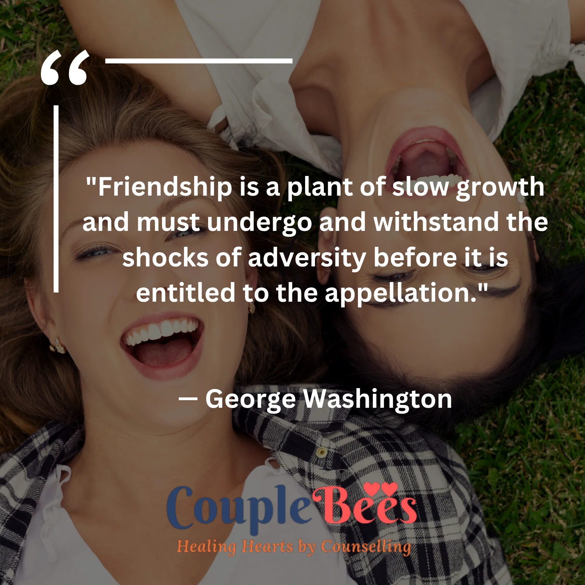 Best Friend Quotes | HopeQure