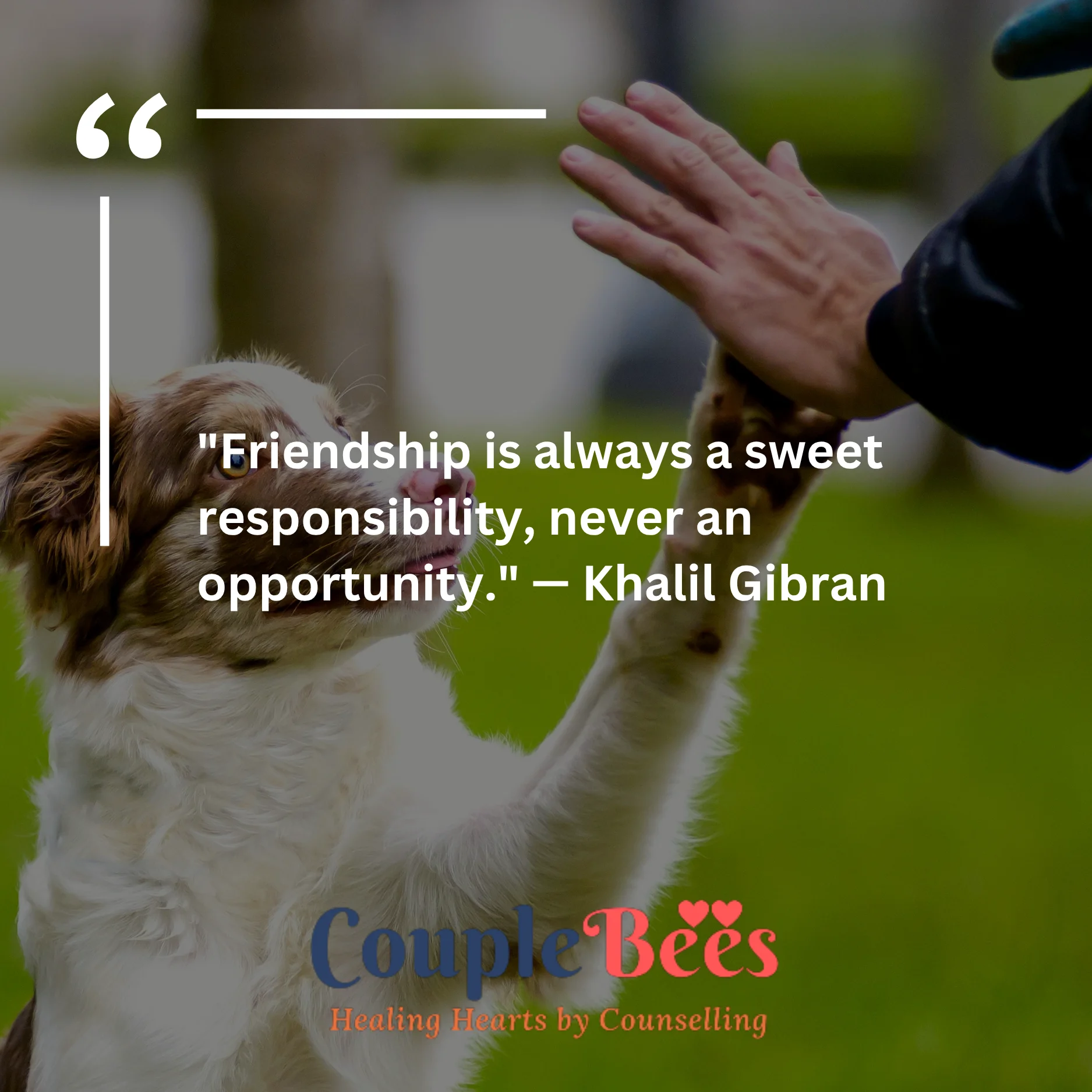 Best Friend Quotes | HopeQure