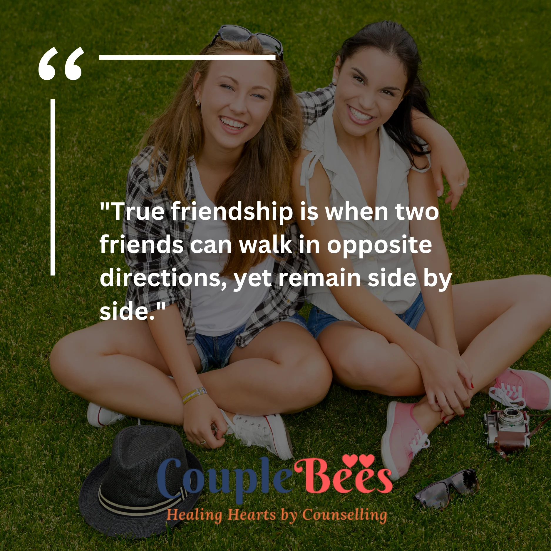Best Friend Quotes | HopeQure