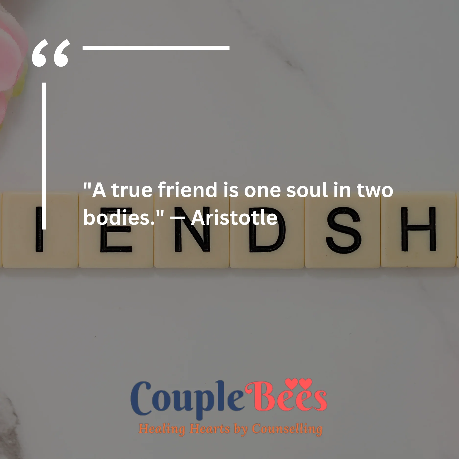 Best Friend Quotes | HopeQure