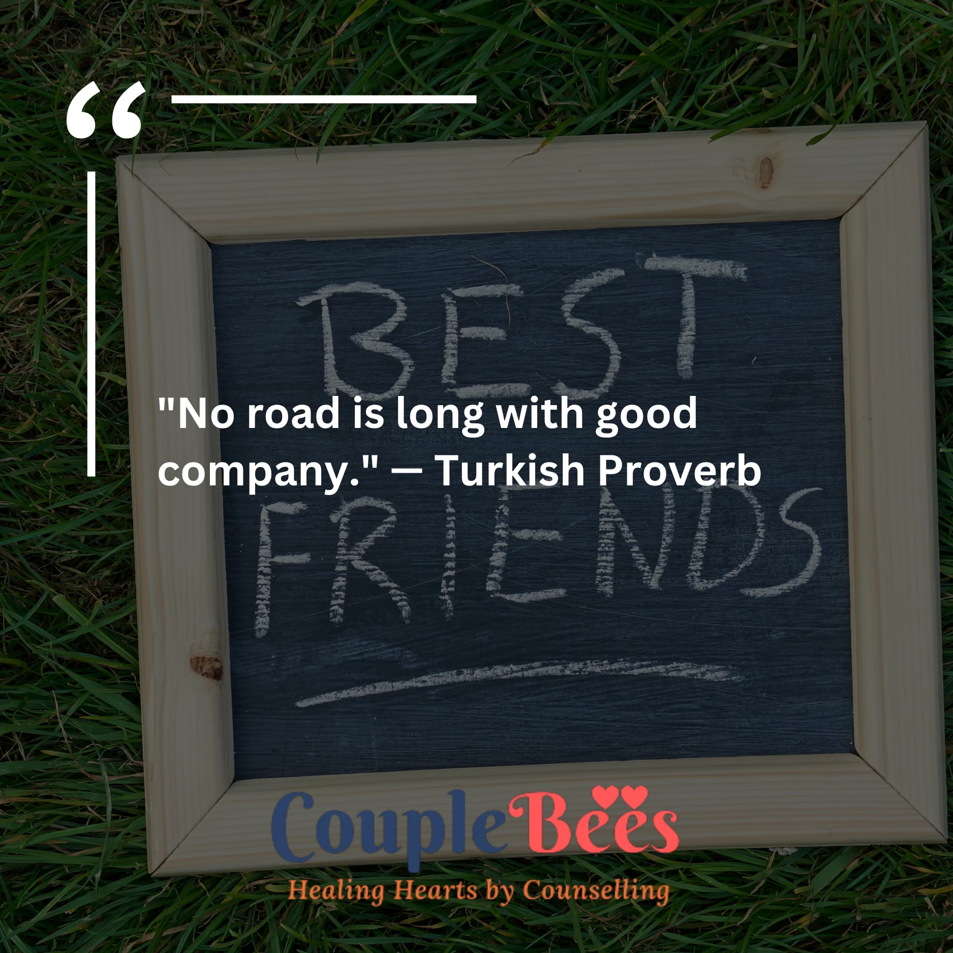 Best Friend Quotes | HopeQure