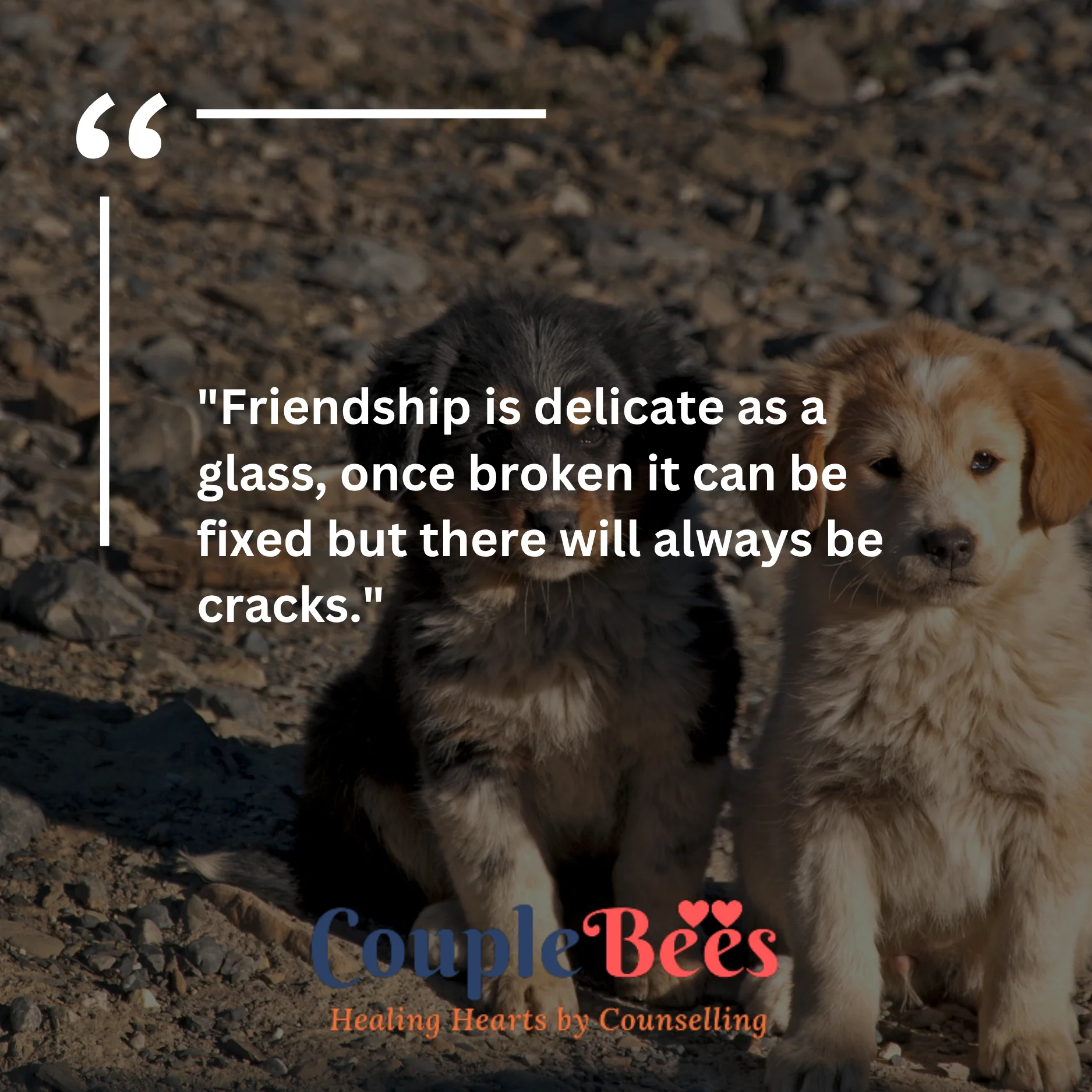 Best Friend Quotes | HopeQure