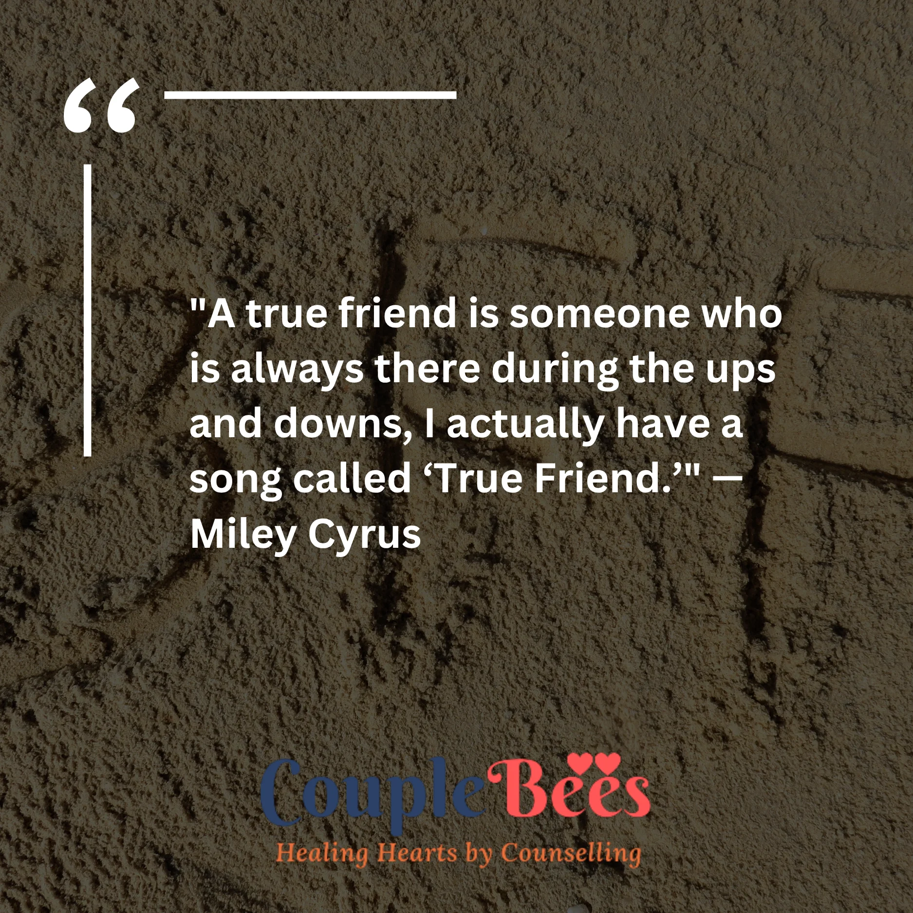Best Friend Quotes | HopeQure