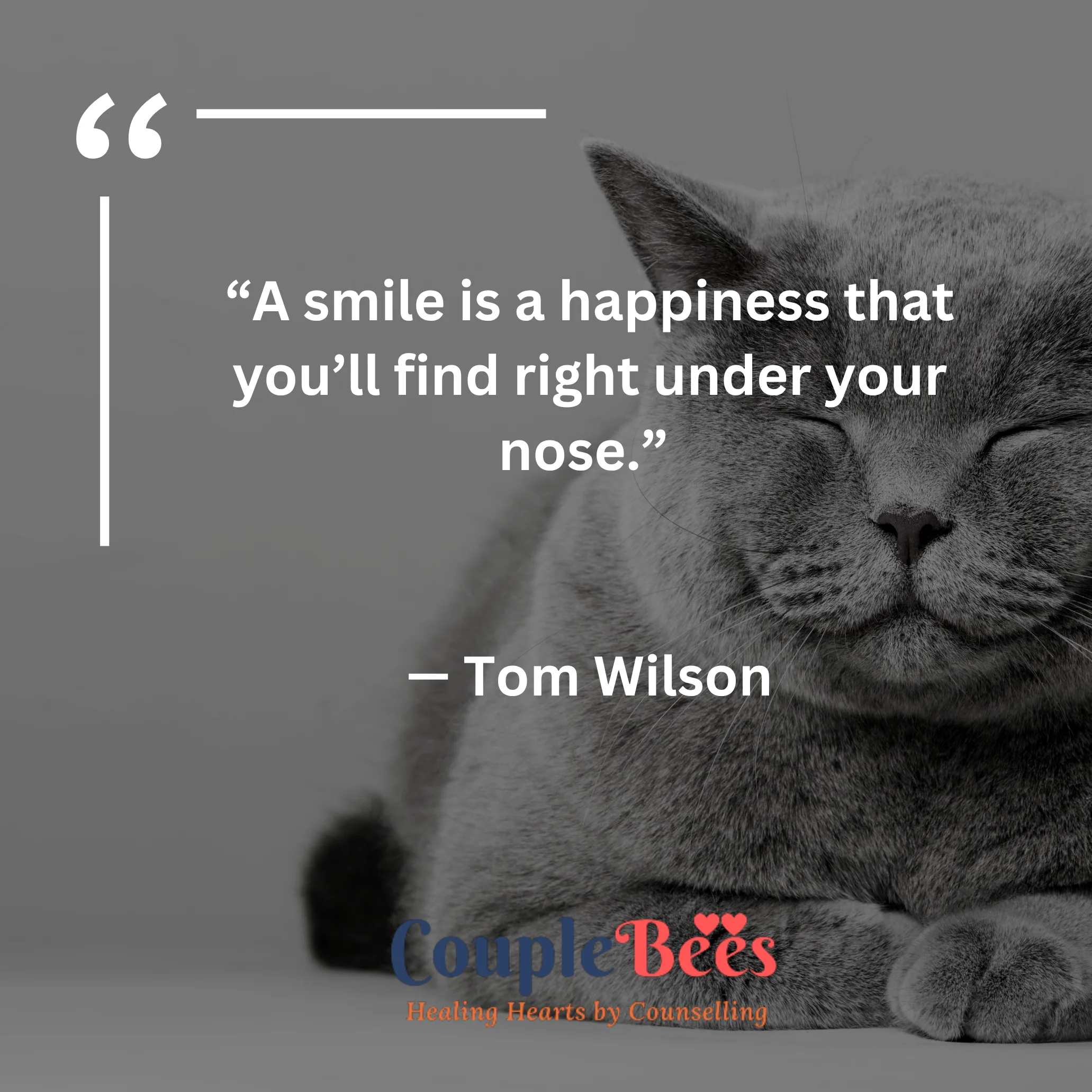 Smile Quotes | HopeQure