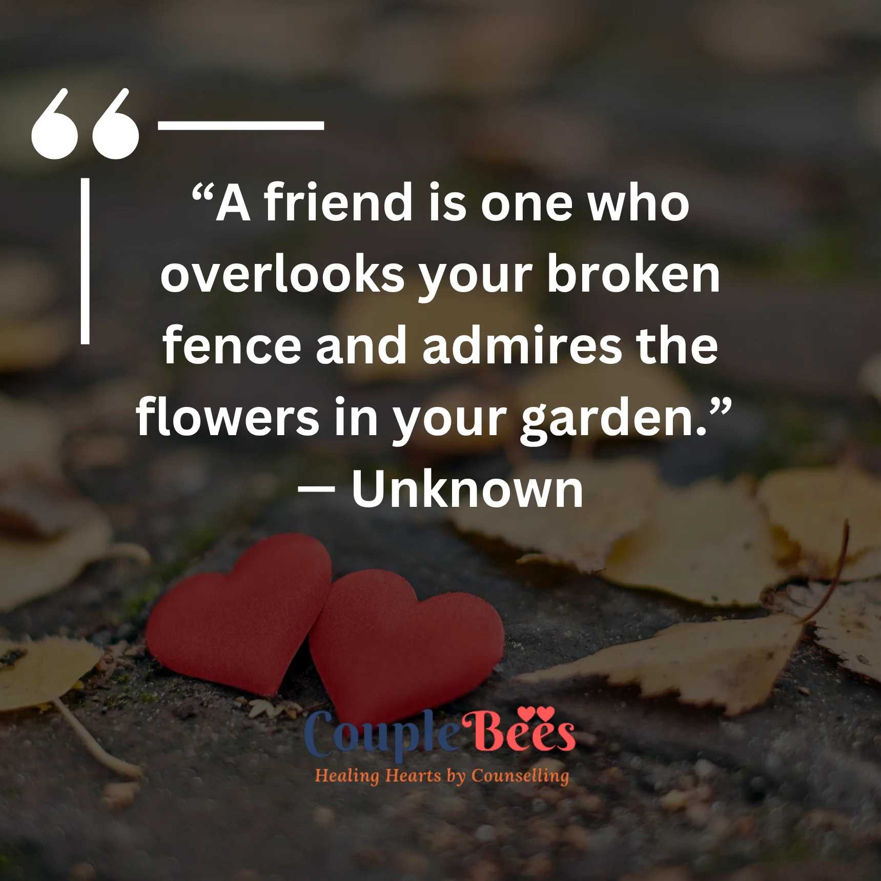 Friendship Quotes | HopeQure