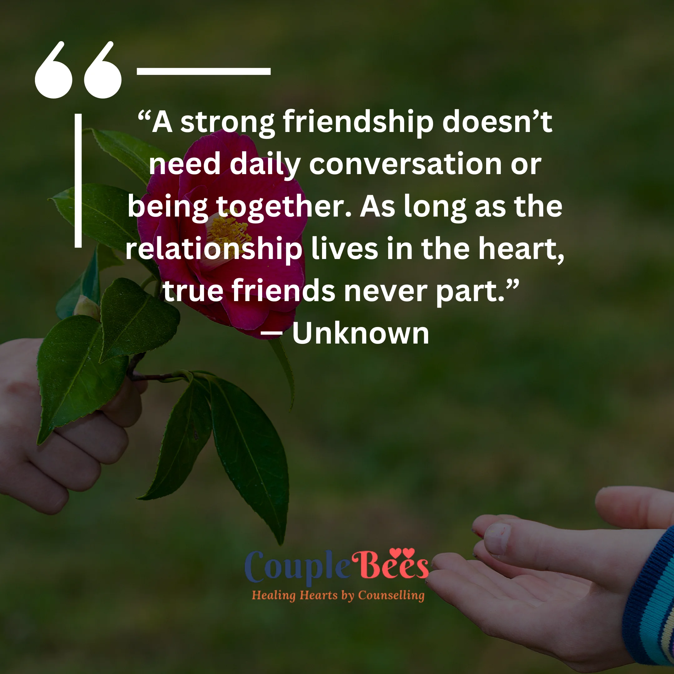 Friendship Quotes | HopeQure
