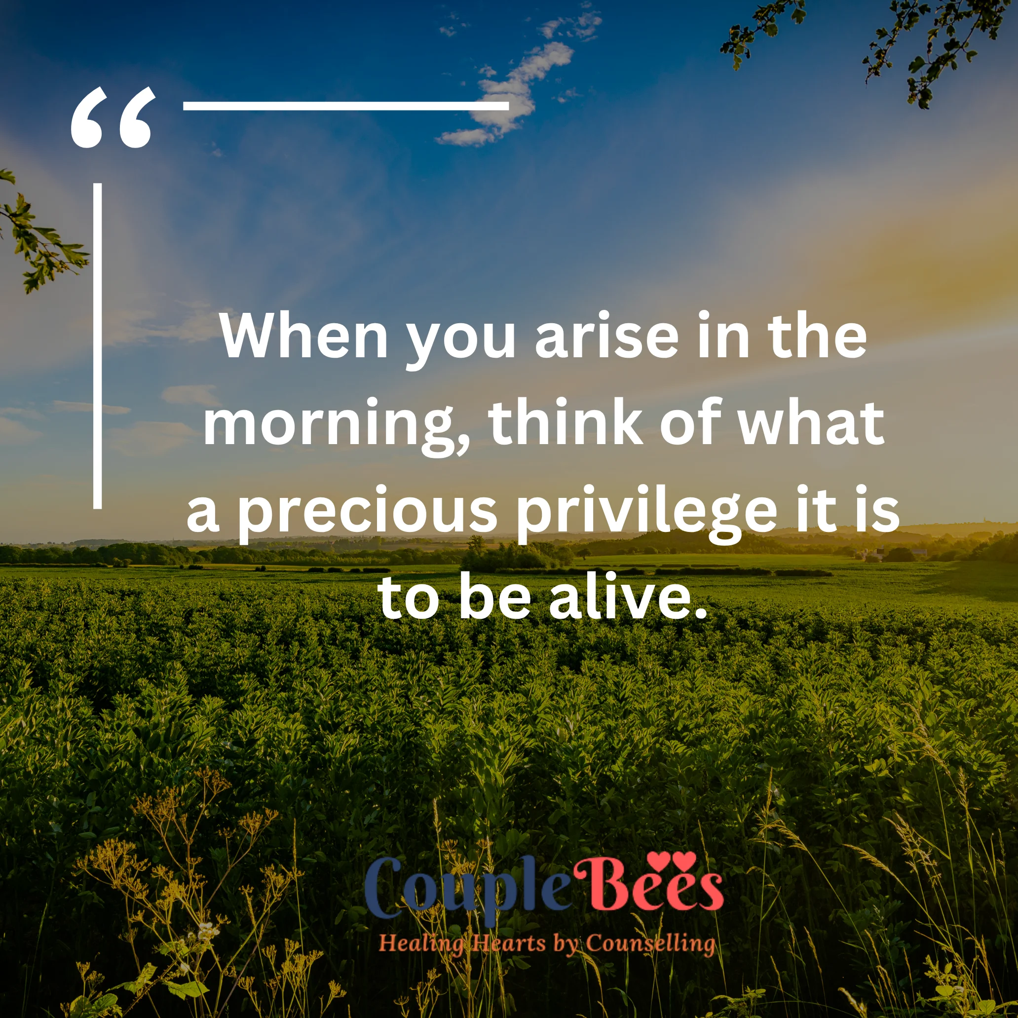 Good Morning Quotes | HopeQure