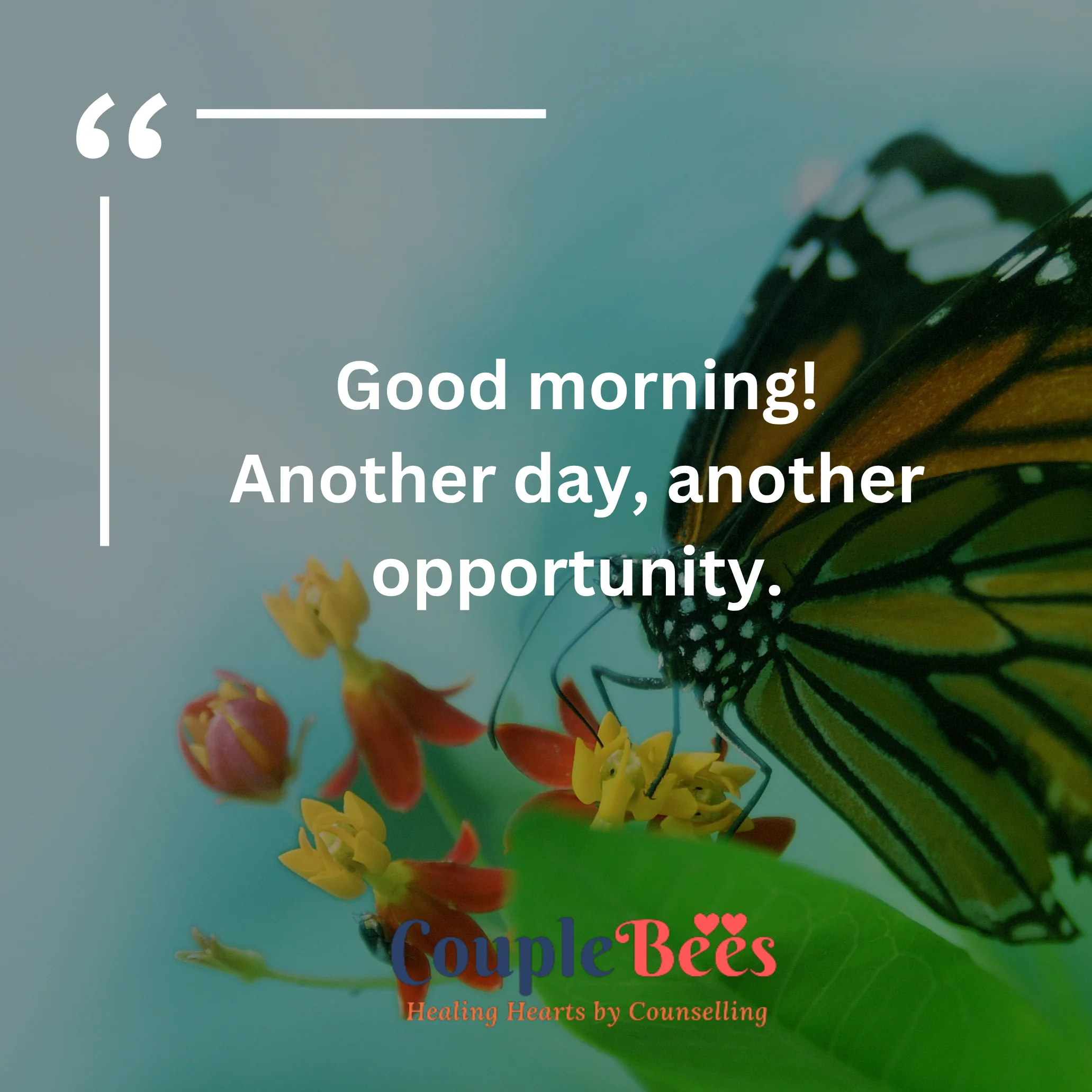 Good Morning Quotes | HopeQure