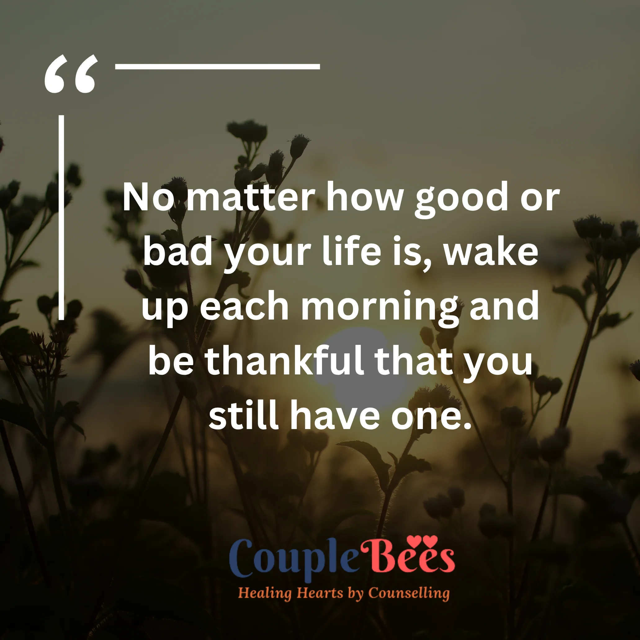 Good Morning Quotes | HopeQure