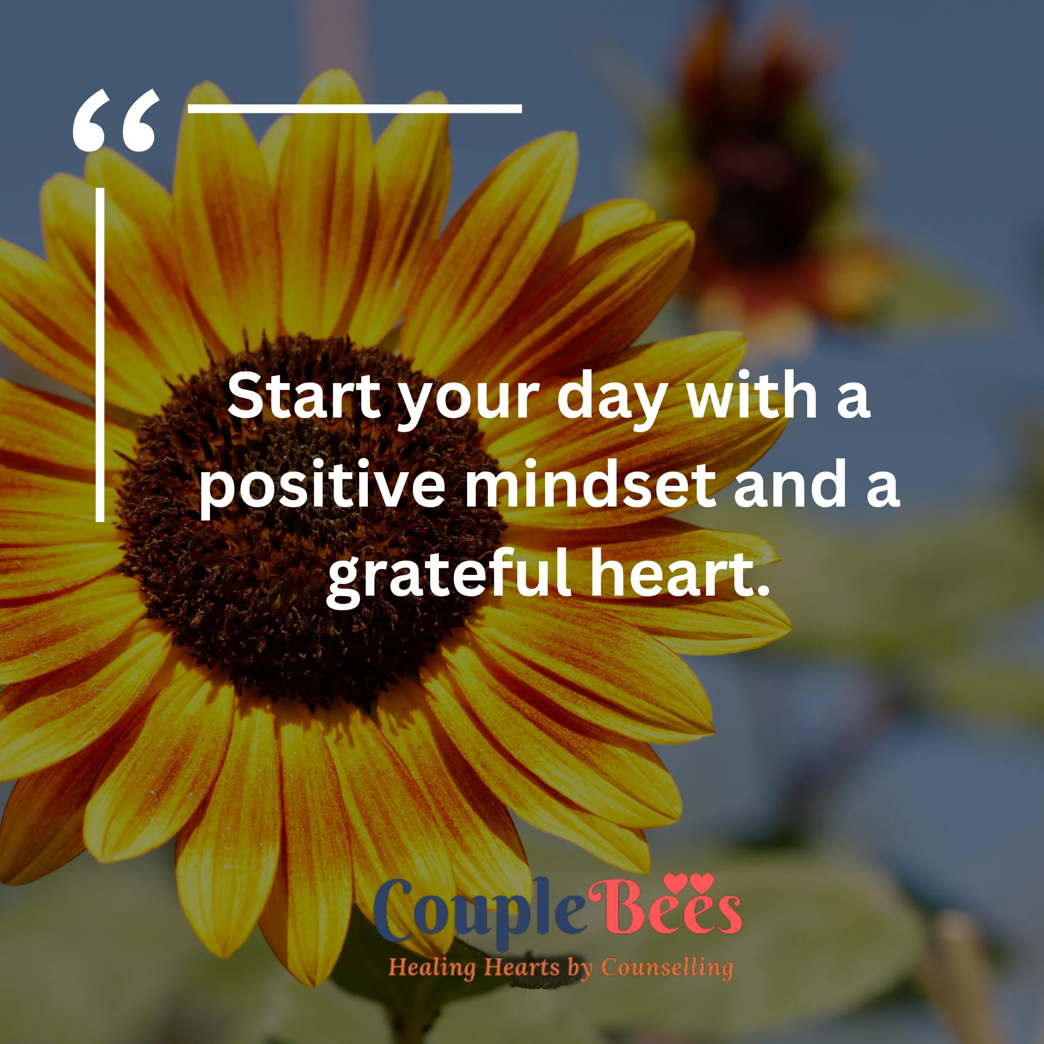 Good Morning Quotes | HopeQure