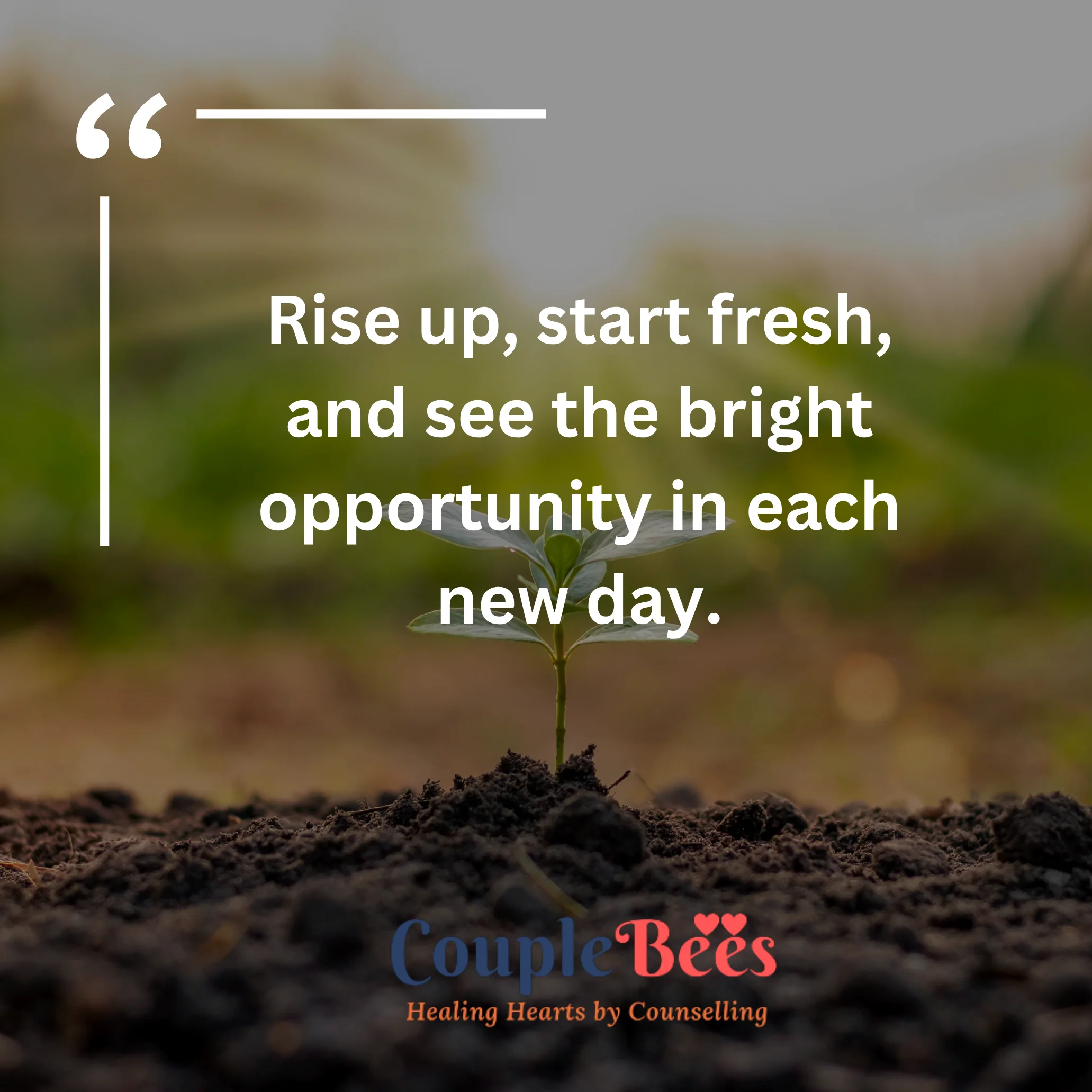 Good Morning Quotes | HopeQure