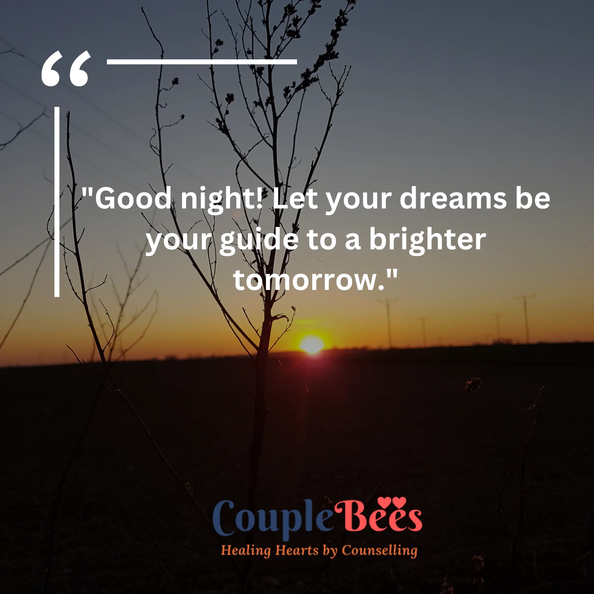 Good Night Quotes | HopeQure