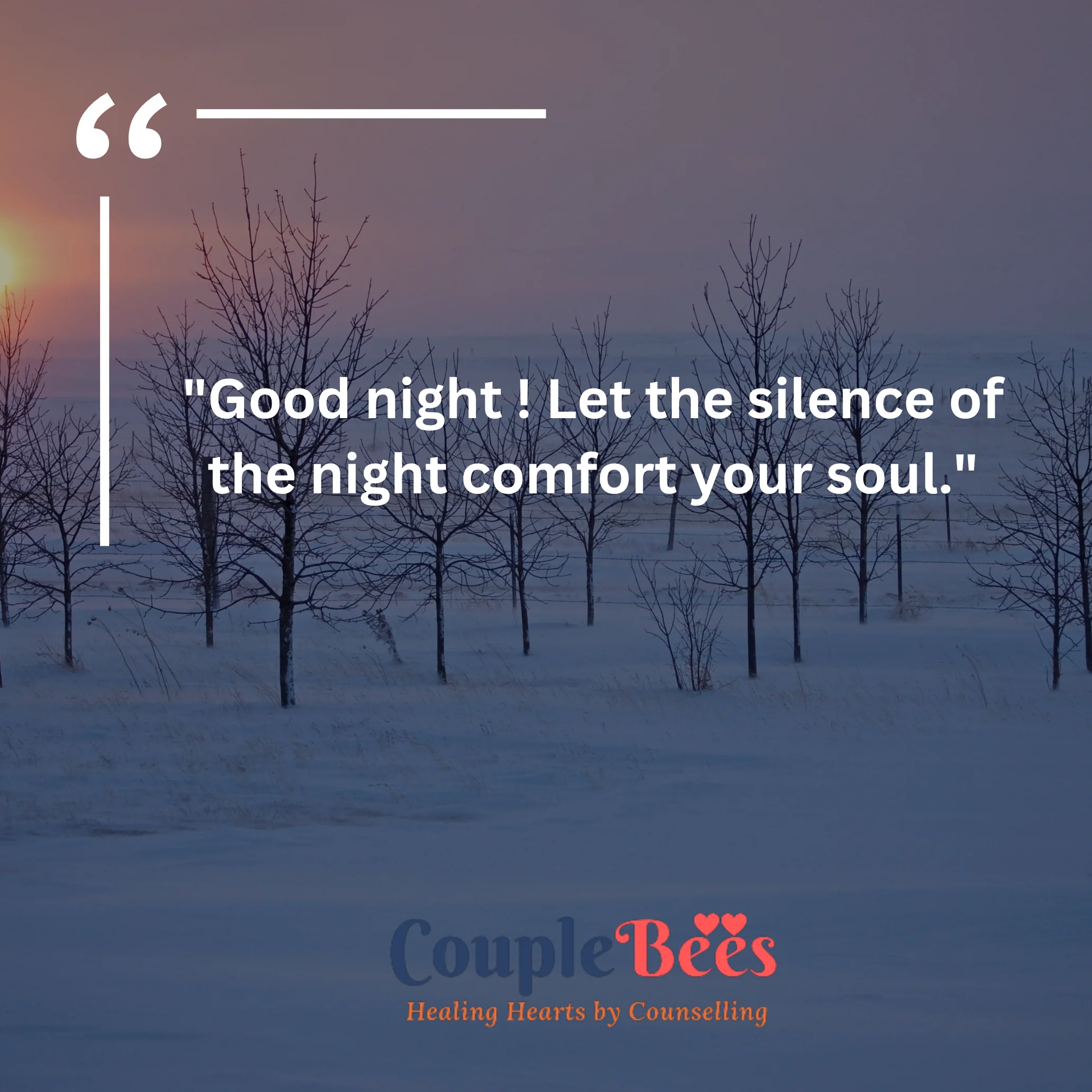 Good Night Quotes | HopeQure