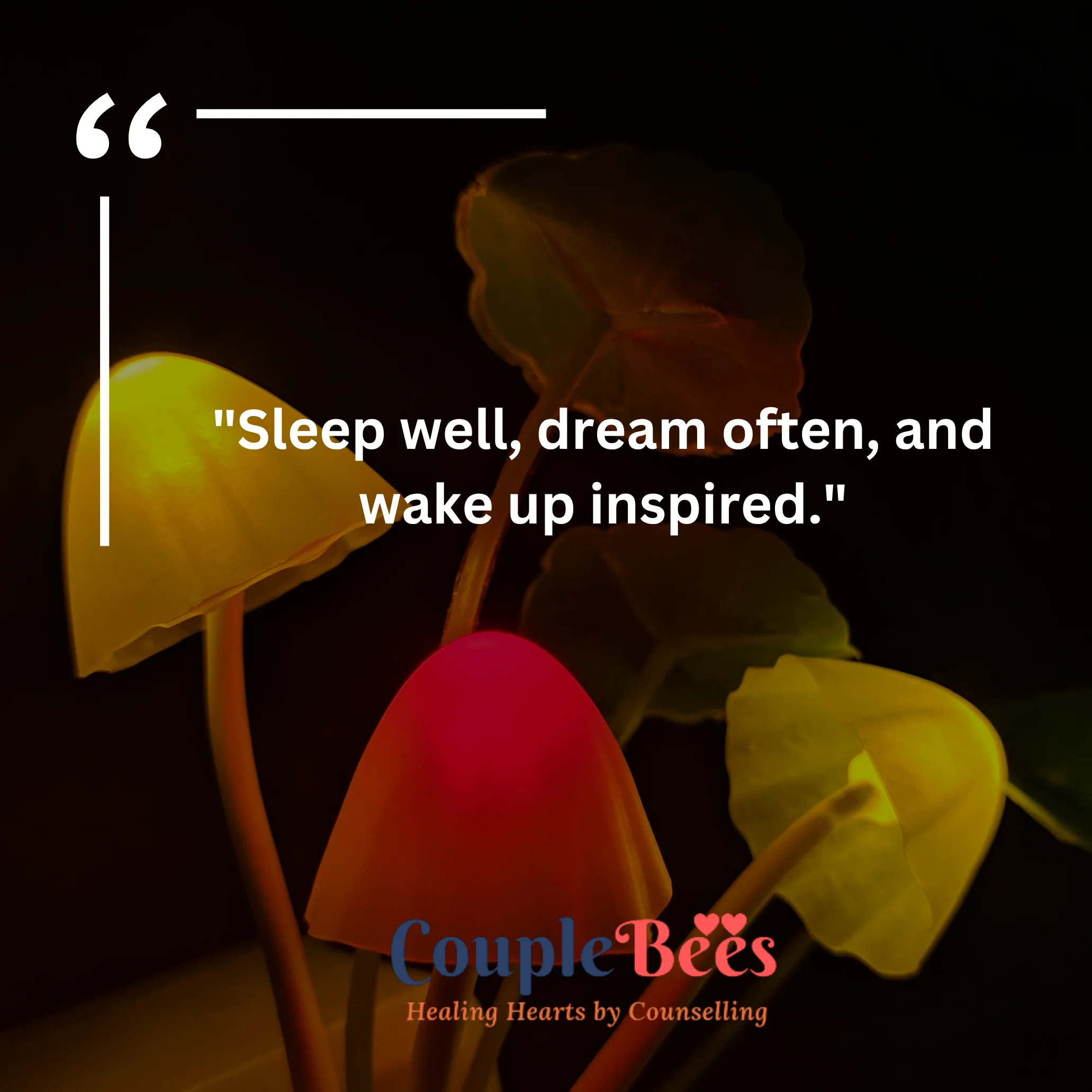 Good Night Quotes | HopeQure