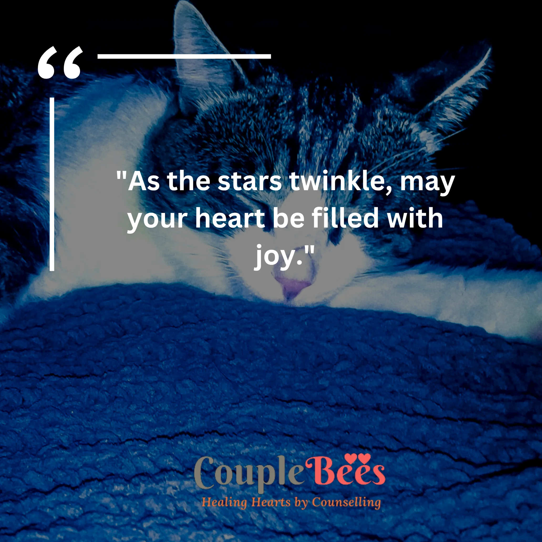 Good Night Quotes | HopeQure