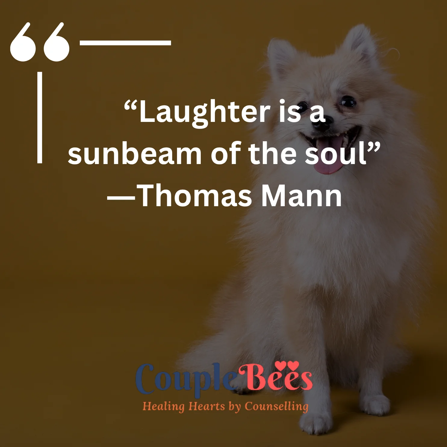 Happiness Quotes To Brighten Your Day | HopeQure