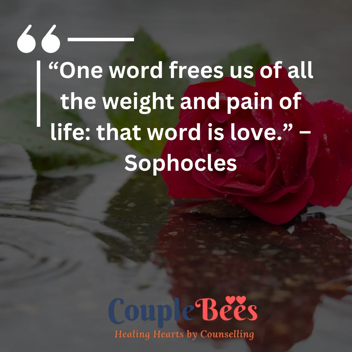 Romantic Love Quotes | HopeQure